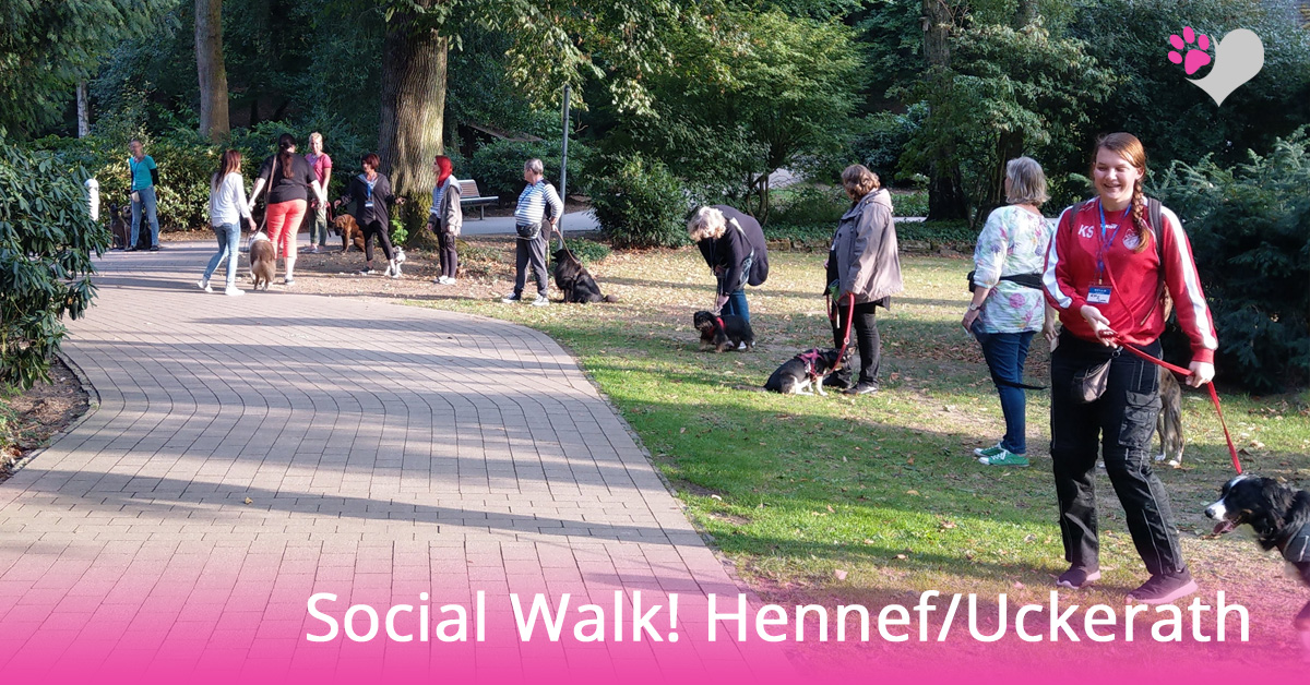 Hundeschule-Hennef-Social-Walk