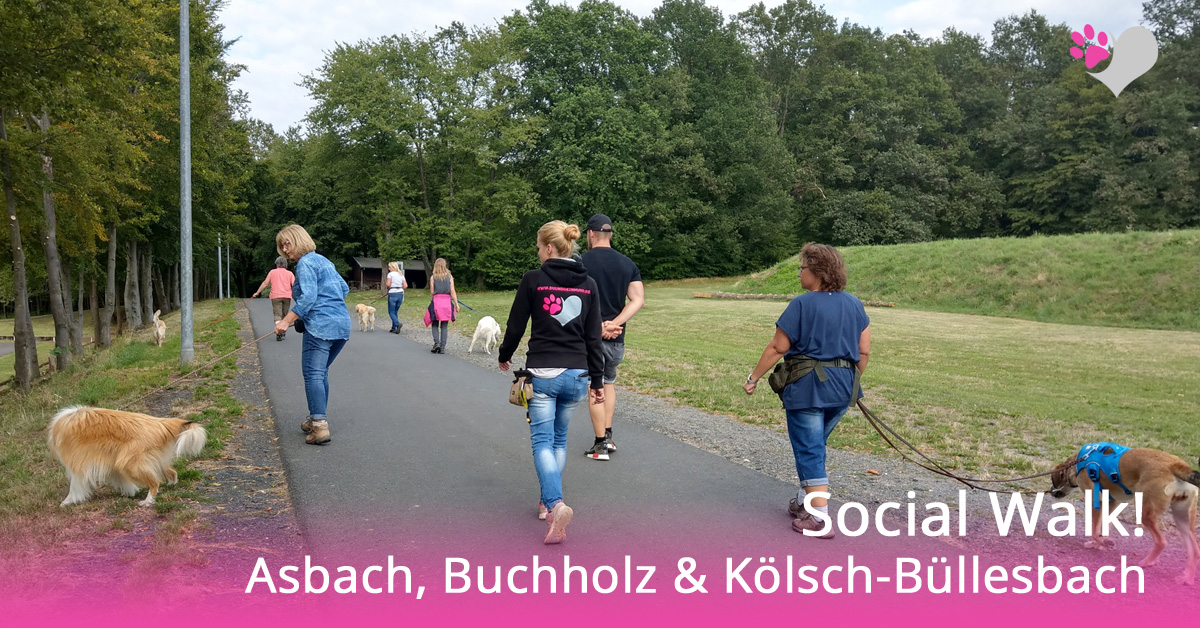 Hundeschule Social Walk Buchholz